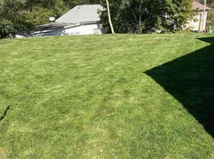 Lisa H.'s Yard Cutting service result