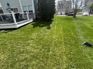 Elizabeth L.'s Lawn Maintenance service result