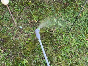 Weeding by Matthew Rutledge for Robert S. in Mechanicsville, VA