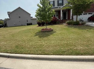 Kristy J.'s Yard Cutting service result
