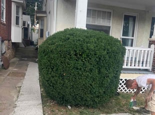 Sharniece J.'s Bush Trimming service result