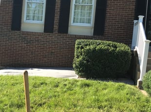 Bush Trimming by Elder E Larios for Debra R. in Fort Washington, MD