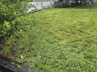 Lynn M.'s Lawn Care service result