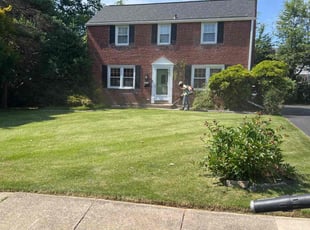 Lewis R.'s Lawn Mowing service result