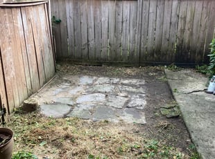 Cleanups by Alexander Pellot Ayala for Ted L. in Columbus, OH