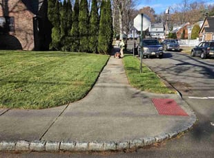 Leaf Removal by Adrian Carrasco for Dawn B. in Roselle Park, NJ