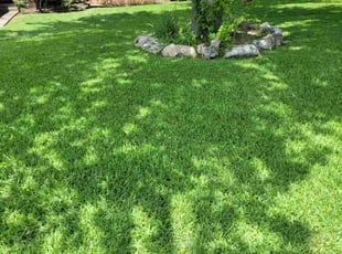 Cynthia C.'s Yard Cutting service result