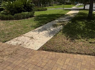 Bush Trimming by Zariya McClary for Yolanda E. in Tampa, FL