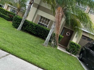 Bush Trimming by Efrain Marrero for Amanda E. in Wesley Chapel, FL