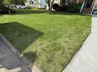 Laurie S.'s Lawn Service service result