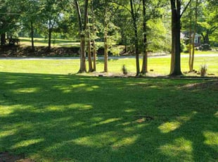 Anitra B.'s Lawn Mowing service result