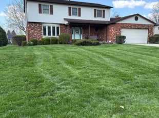 Annabelle R.'s Grass Cutting service result
