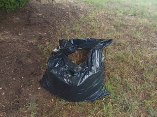 Leaf Removal by Fernando Vazquez for "Hammad K. in Round Rock, TX