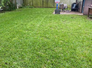 Mark E.'s Grass Cutting service result