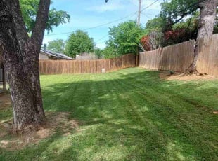 Metroplex Homebuyers L.'s Lawn Mowing service result
