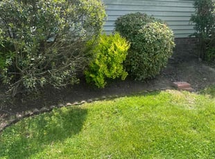 Weeding by Justin Norris for Kevin L. in Chesapeake, VA