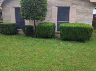 Bush Trimming by Paytience Rodriguez for Beverly H. in Fort Worth, TX