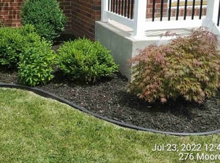 Weeding by Ronald Burton for David B. in Buffalo, NY