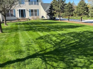 Cheryl M.'s Lawn Maintenance service result