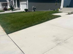 Eugene C.'s Lawn Mowing service result