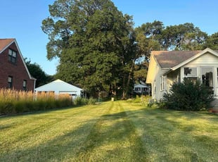 Dorothy K.'s Lawn Mowing Service service result