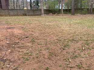 Leaf Removal by Cornelia Smith for Ryan T. in Lawrenceville, GA