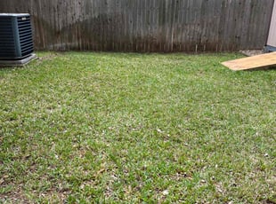 Leaf Removal by Jacob Clay for Robert B. in San Antonio, TX