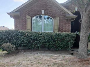 Bush Trimming by Ana Zelaya for Reginald S. in Richmond, TX