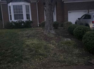 Bush Trimming by Jacob Goldstone for Wes F. in Franklin, TN