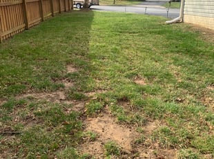 Leaf Removal by Kabari Brooks for Bill R. in Clinton, MD