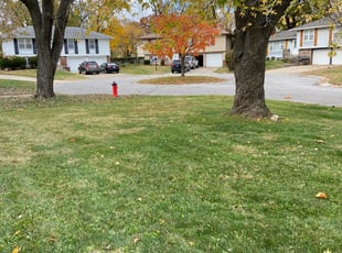 Cleanups by James Skivers for Stephanie R. in Grandview, MO