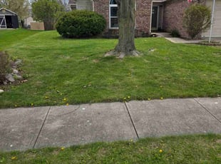 Victoria A.'s Lawn Care service result