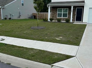 Tammie T.'s Lawn Mowing service result
