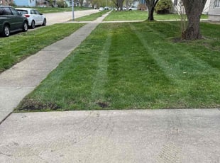 Linda S.'s Lawn Maintenance service result
