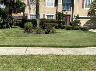 Toni T.'s Lawn Mowing Service service result