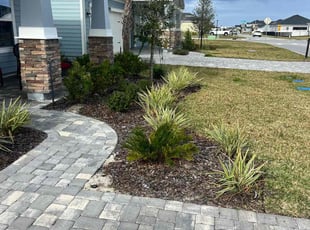 Weeding by Sean McKenna for Crista P. in St. Augustine, FL