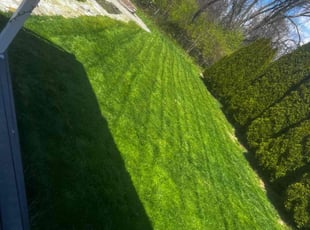 Sandra D.'s Lawn Mowing service result