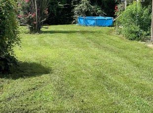 Ashley C.'s Lawn Maintenance service result