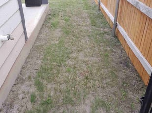Weeding by Alba Chacon Galdamez for Amy H. in Pflugerville, TX