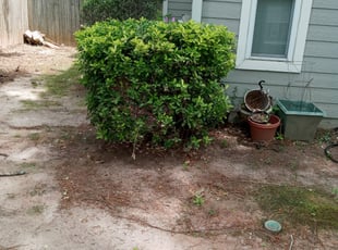 Bush Trimming by Korey McCoy for Brieze R. in Acworth, GA