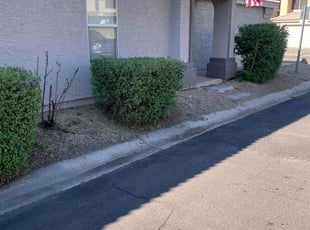 Bush Trimming by Michael Rizzo for Nathan J. in Mesa, AZ