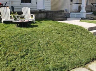 Donald K.'s Lawn Mowing service result
