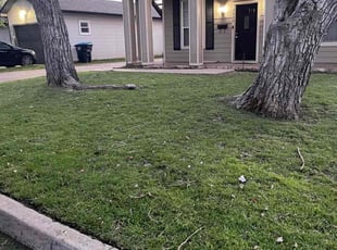 Nick R.'s Lawn Mowing service result