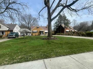 Leaf Removal by Demetrieus Bennett for Althea F. in Cleveland, OH