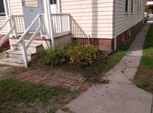 Weeding by Lionel Gray for Paul L. in New Haven, CT