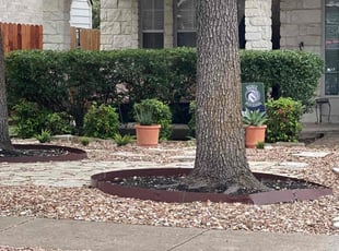 Bush Trimming by Noah Fiechtner for Gaynelle J. in Austin, TX
