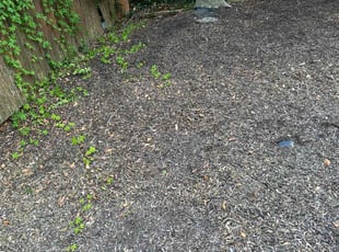 Leaf Removal by Caree Keith for Russell C. in Temple Hills, MD