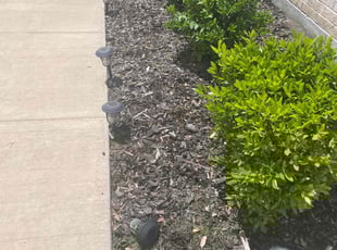 Weeding by Gabriel Piedra for Marcy M. in Little Elm, TX