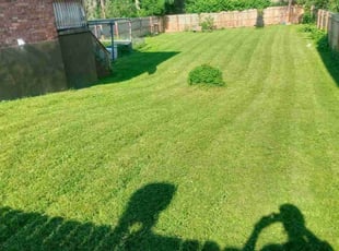 Diane J.'s Lawn Service service result