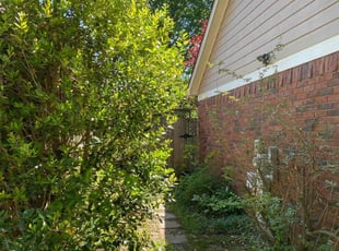 Bush Trimming by Gregory Hearn for Jonathan C. in Collierville, TN
